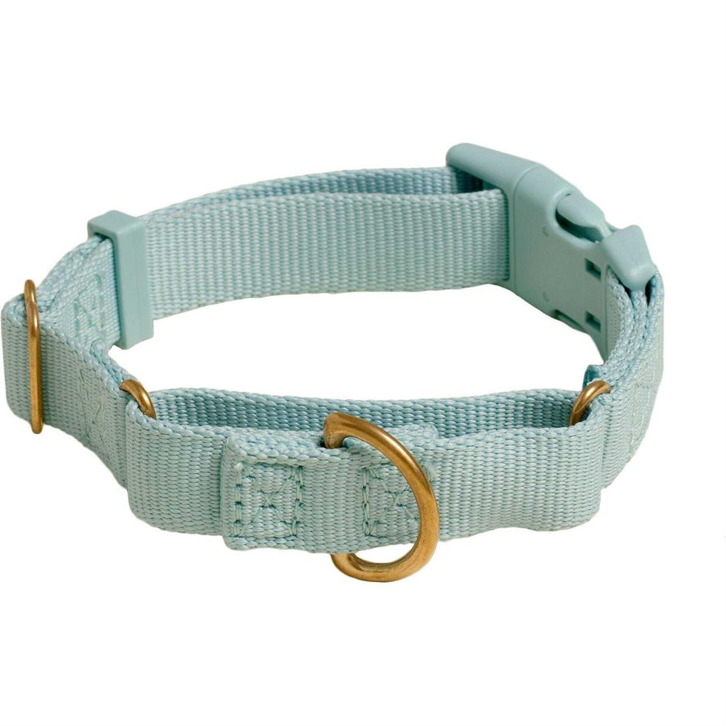 Martingale Dog Collar B598222