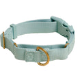 Martingale Dog Collar B598222