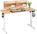 Height Adjustable Electric Standing Desk with Memory Controller 48" x 24" Z902