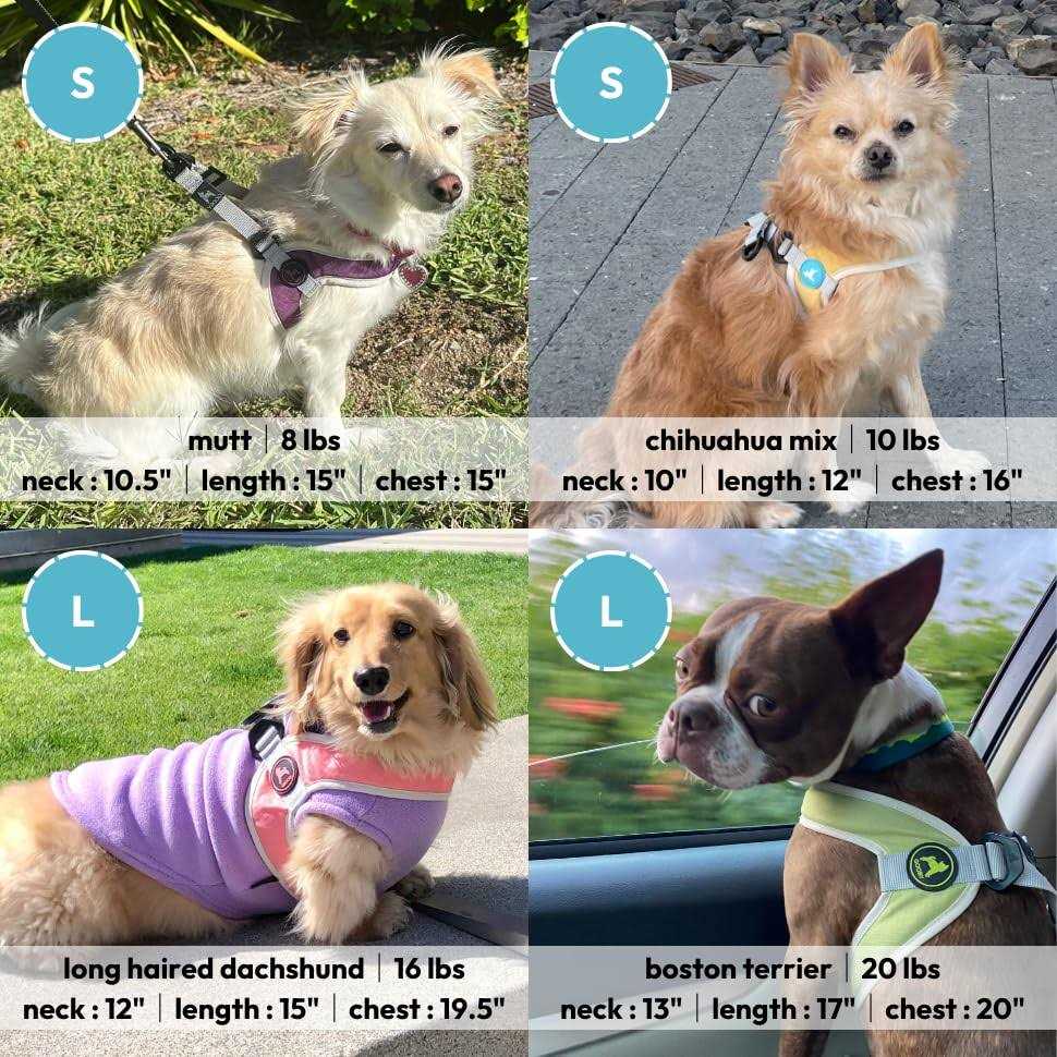 Step-In Dog Harness A317798