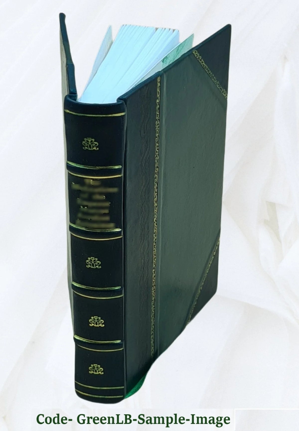 Leather Bound Book B23164