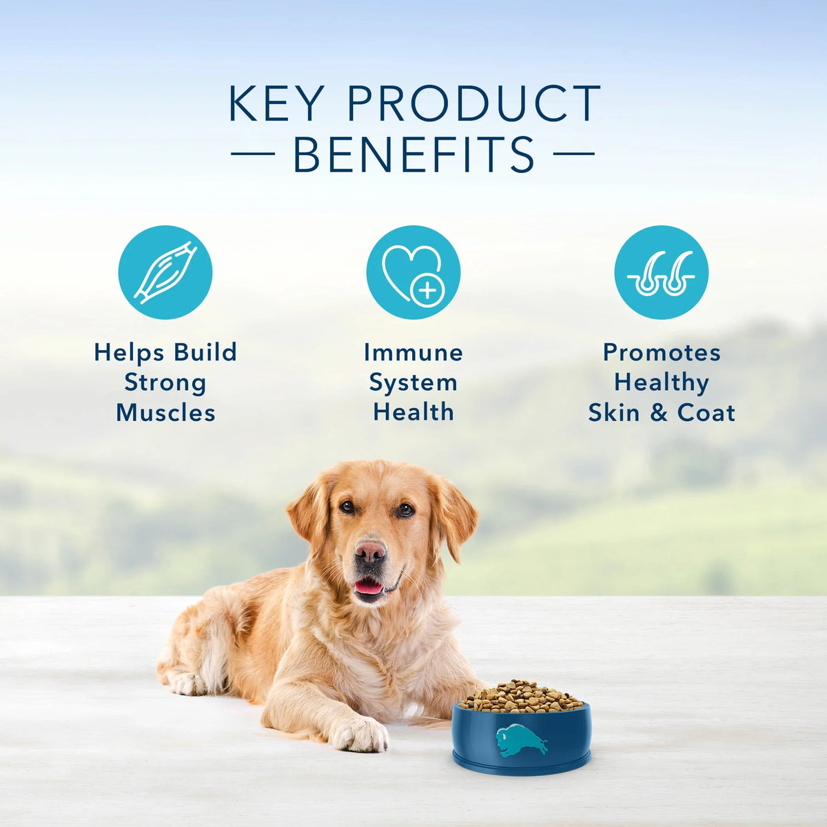 Chicken and Brown Rice Whole Grain Dry Dog Food 30 lb. Bag K101