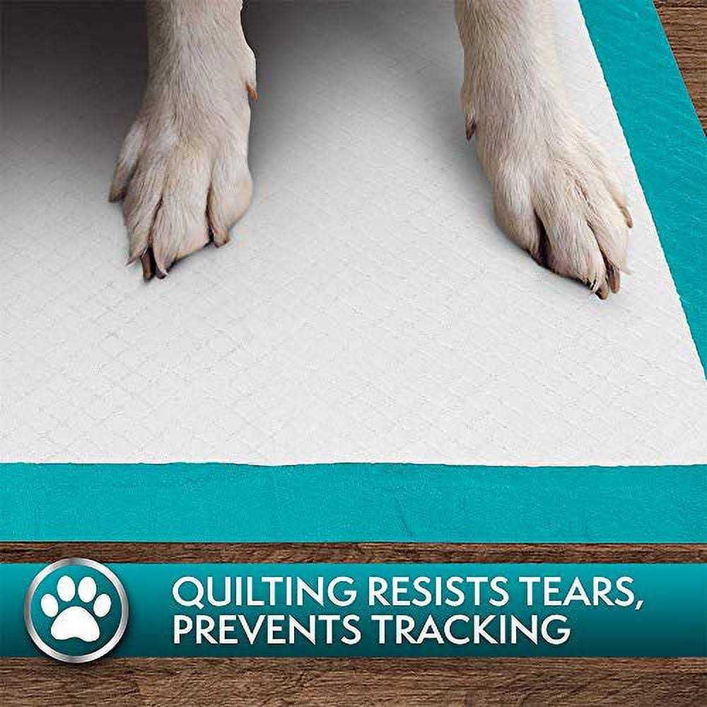 Extra Large Training Pads N458506