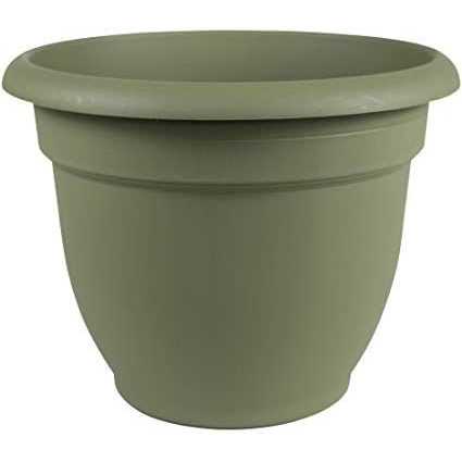 Ointment L403481