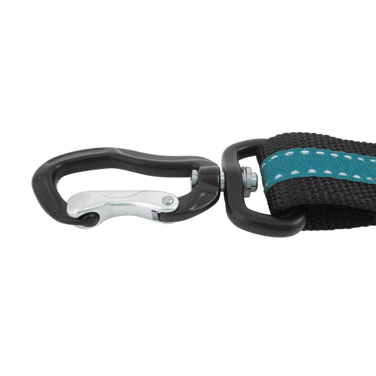 Dog Tether H32829