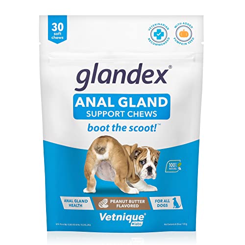 Peanut Butter Soft Chew Treats with Pumpkin for Dogs, 30ct C165428