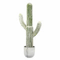Rustic Cactus Succulent in Pot T61401