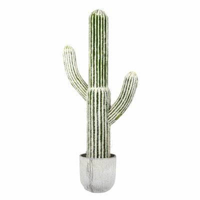 Rustic Cactus Succulent in Pot T61401