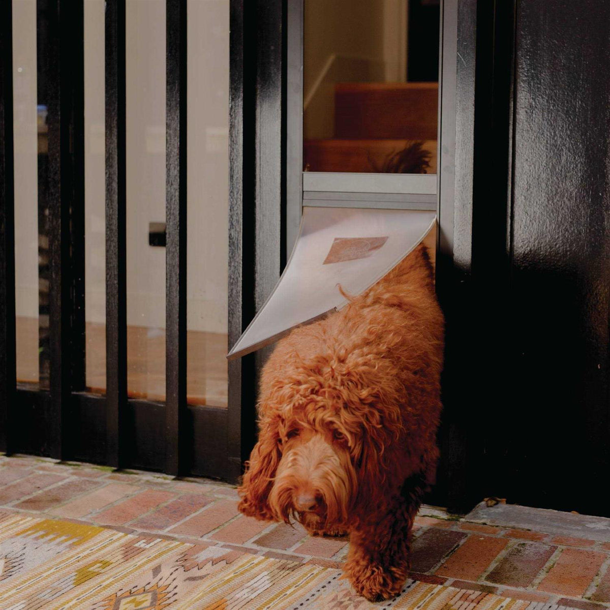Large Black Patio Pet Door D492