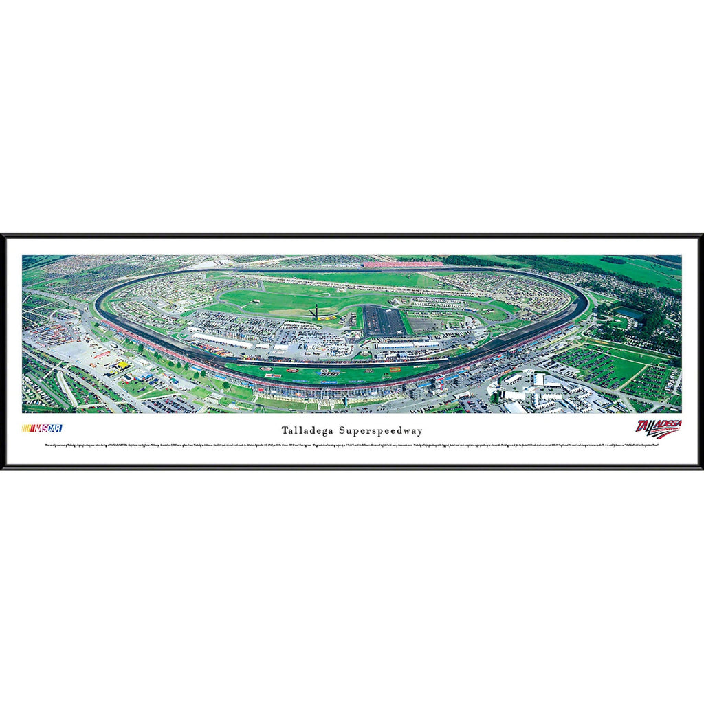 NASCAR Print P131294