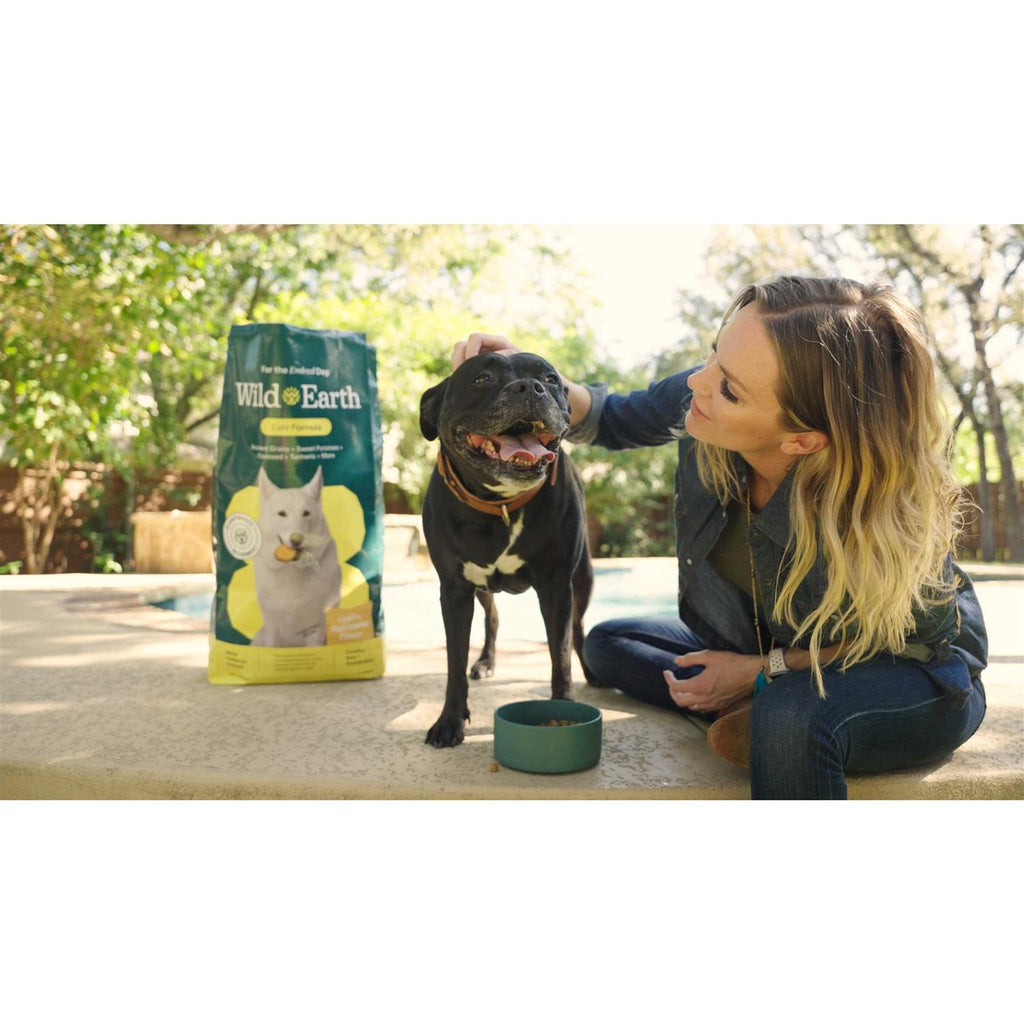 Classic Roast Flavor Dry Dog Food S8929