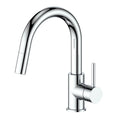 Chrome Kitchen Faucet V46351
