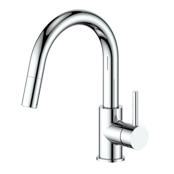 Chrome Kitchen Faucet V46351