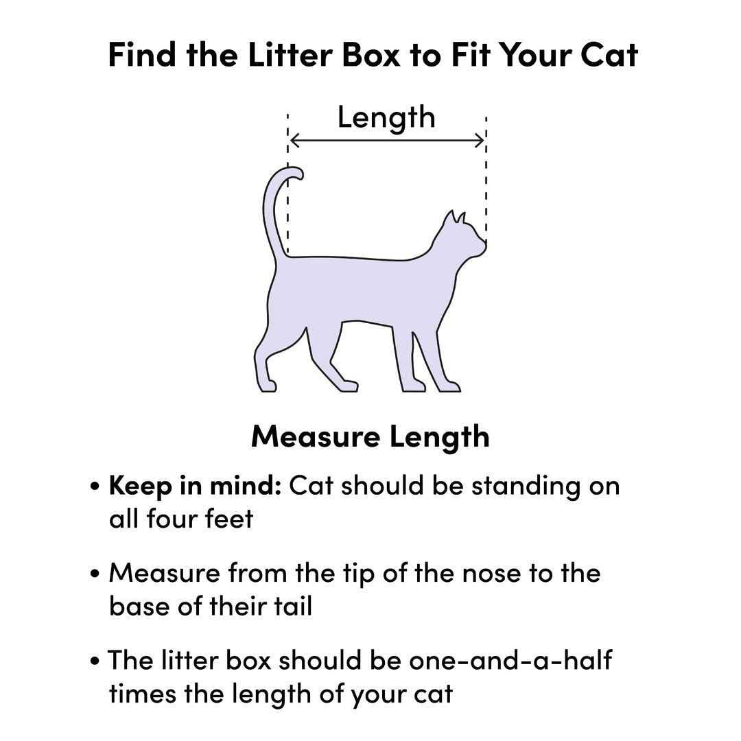 Large Rimmed Litter Pan T150