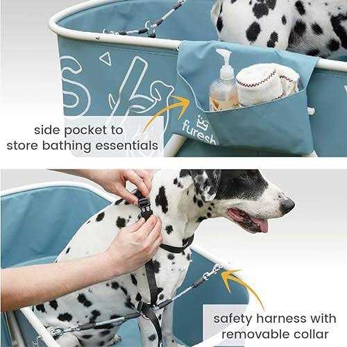 Big Dog Bath Tub with Stairs U1687