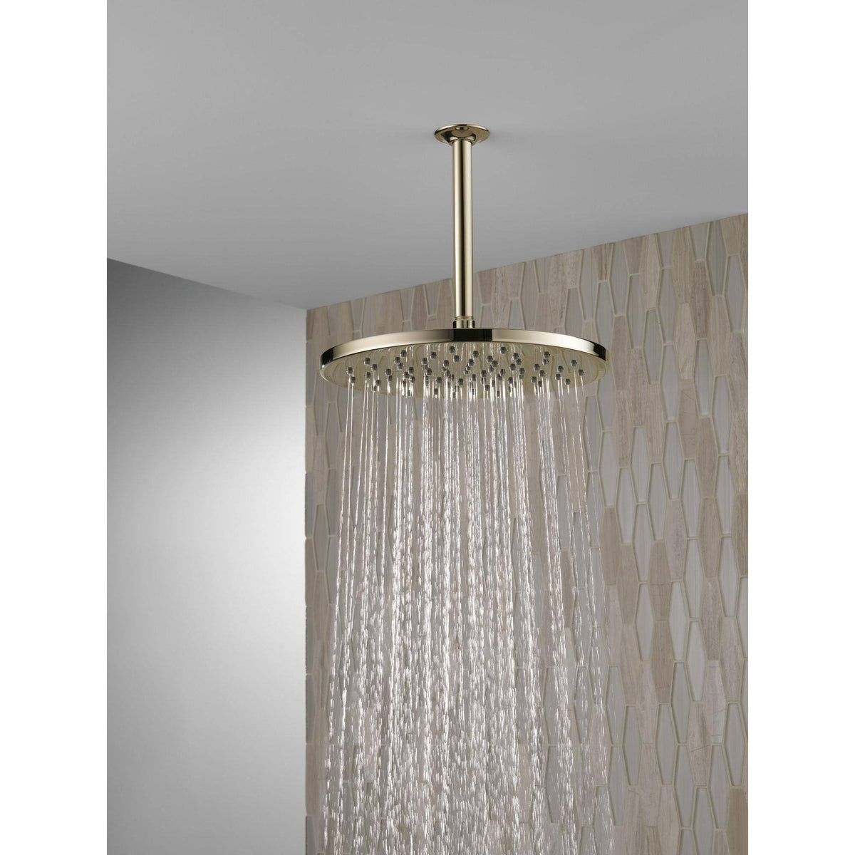 Single-Setting Metal Raincan Shower Head B705522