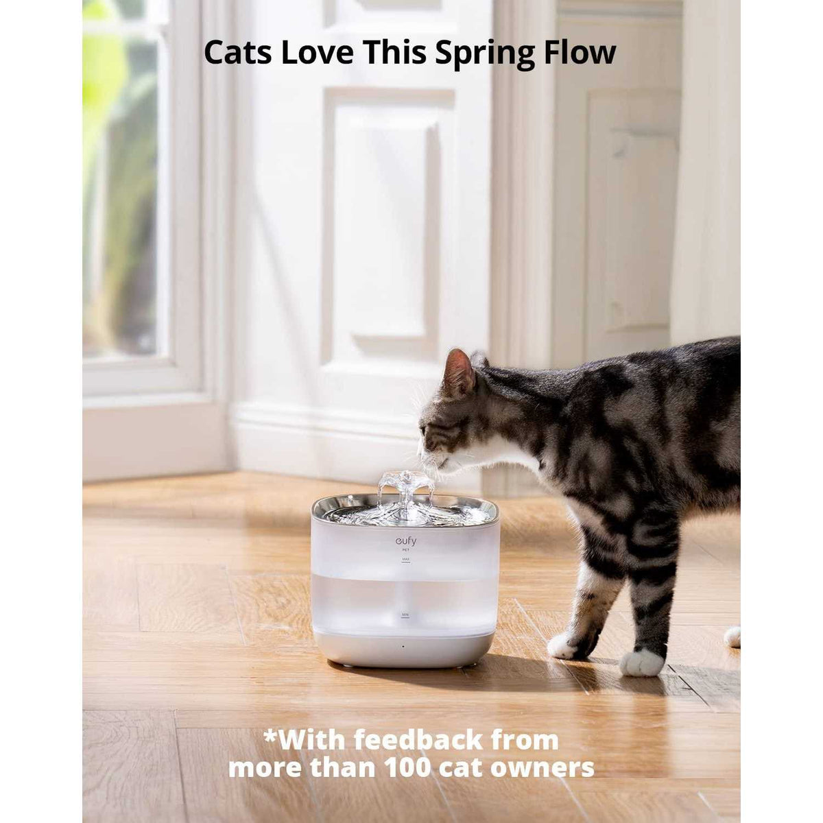 Pet Water Fountain C1342