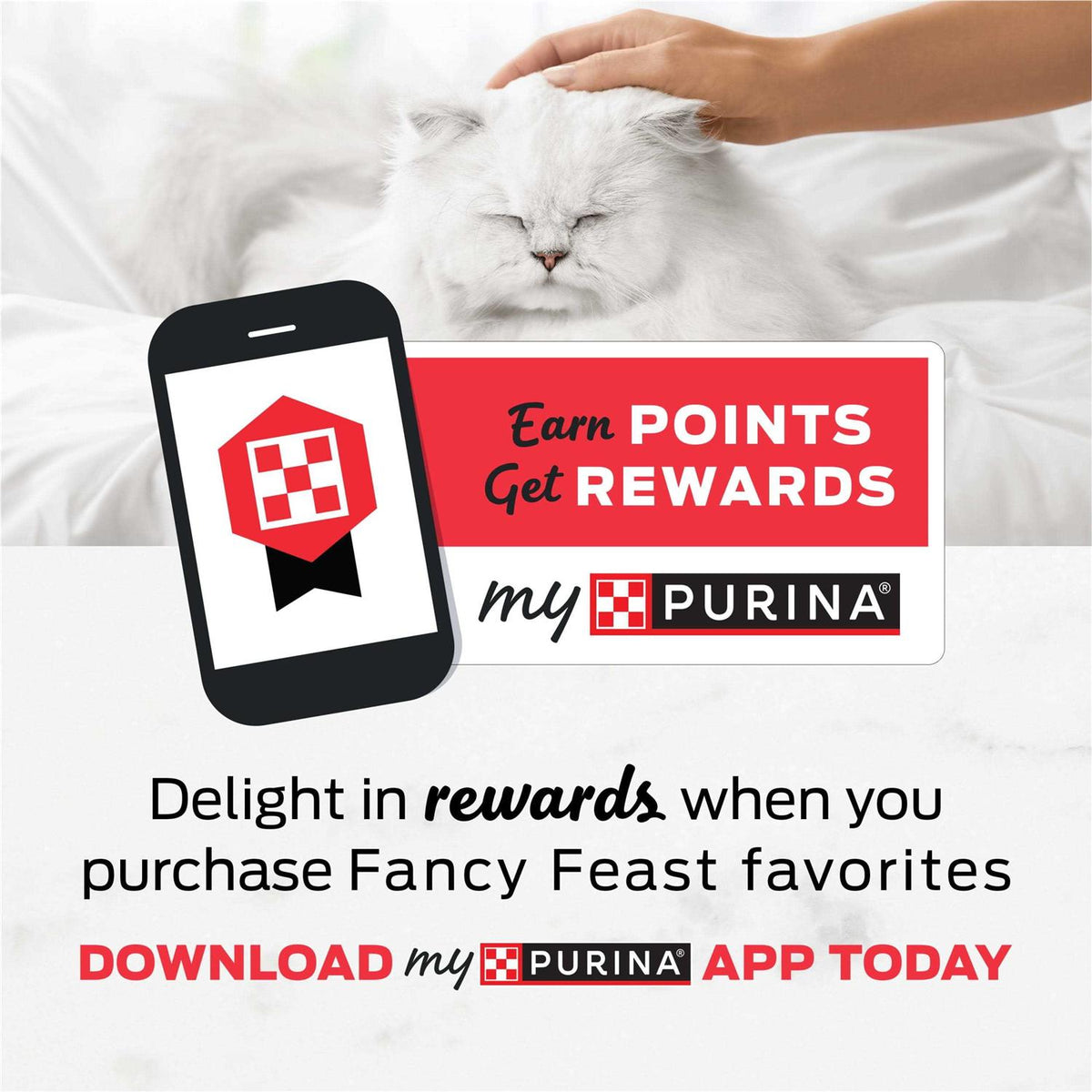 Chicken Puree Cat Treats I833486