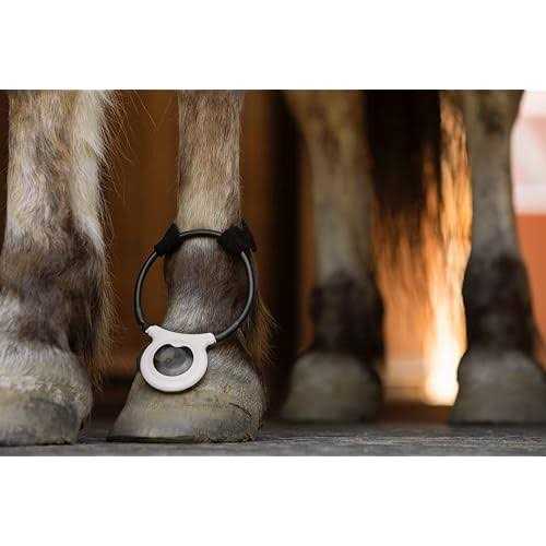 Pet Supplies D659283