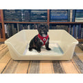 Indoor Dog Potty Tray L736
