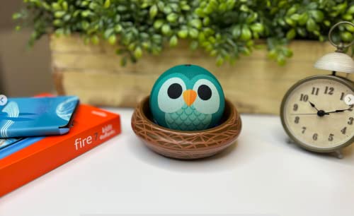 Owl Echo Dot A77493