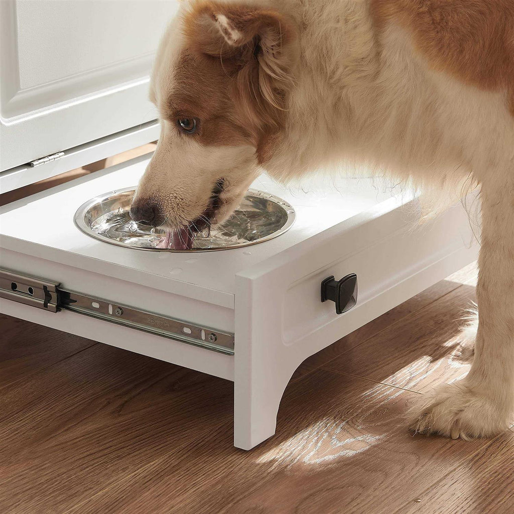 Modern Pet Feeding Station with 2 Elevated Dog Bowls E7837