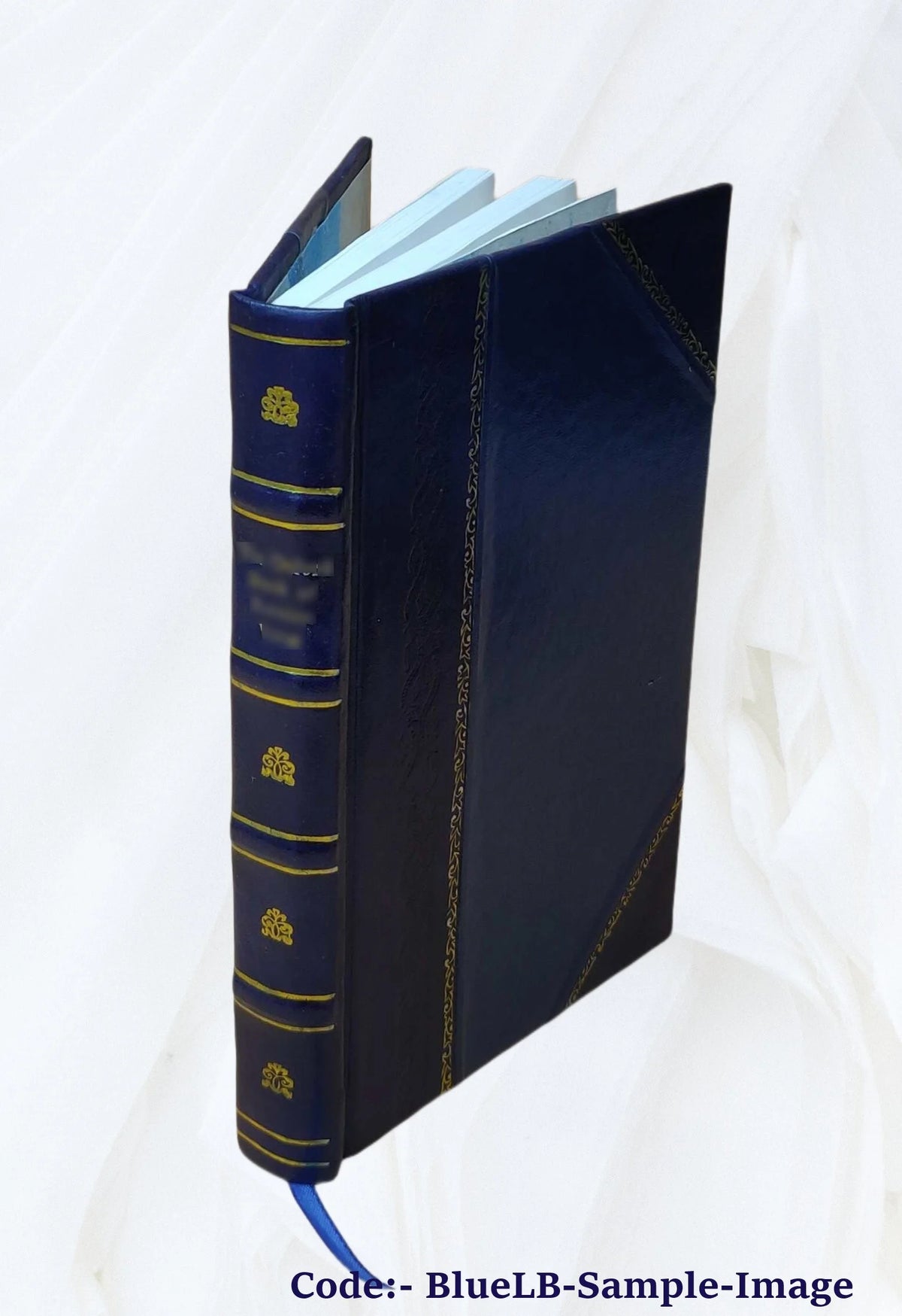 Leather Bound Book A610