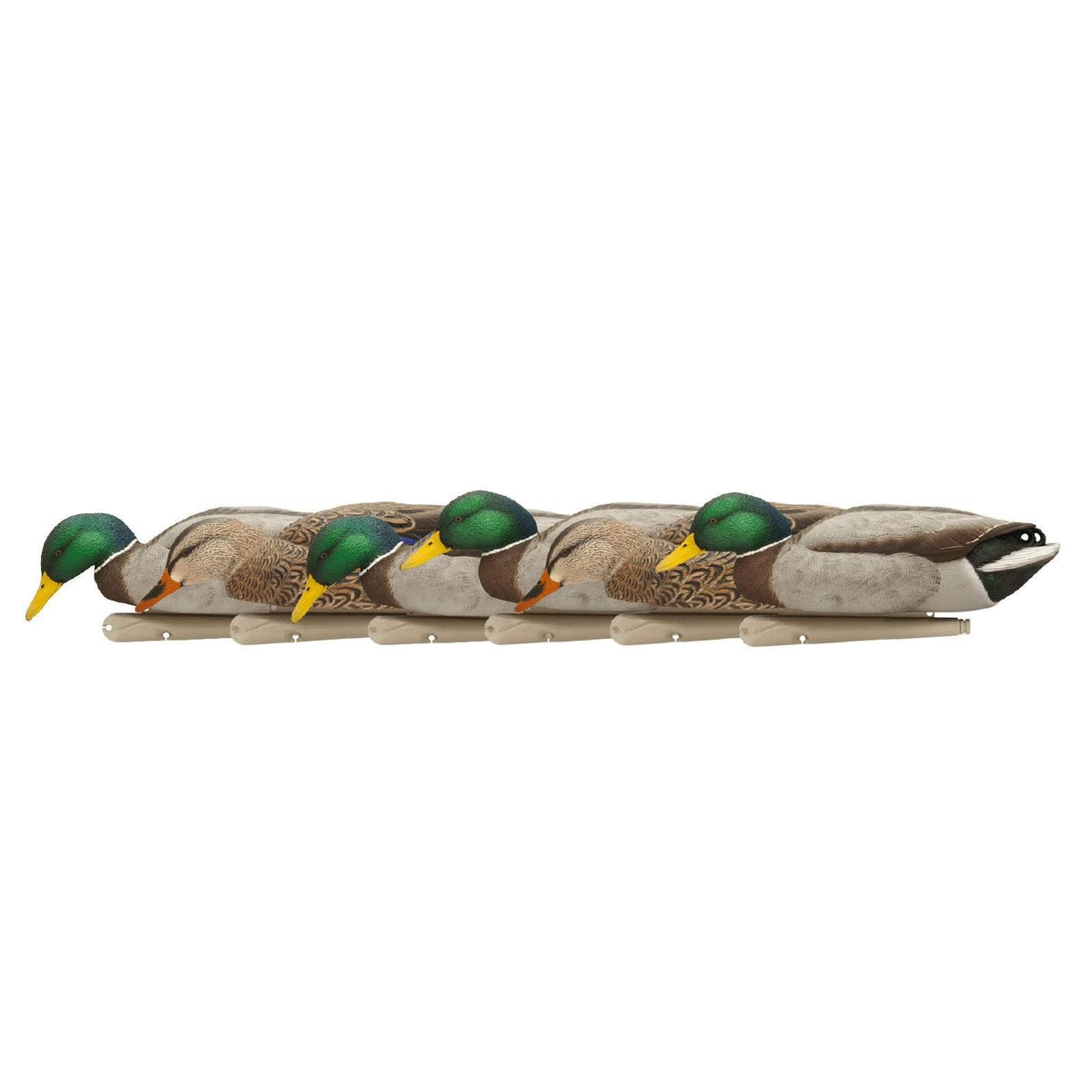 6 Pack Mallard Duck Decoy O743134