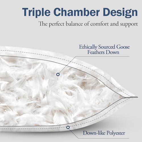 Medium Firm Goose Down king size pillows set of 2, 1000TC Organic Cotton Cover, Polyester 20"x36" E98619