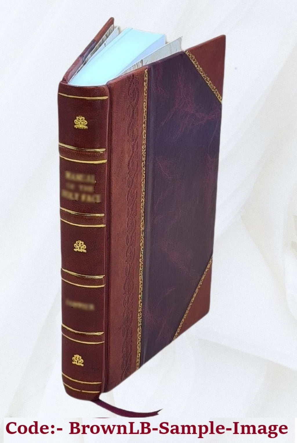 Leather Bound Book A610