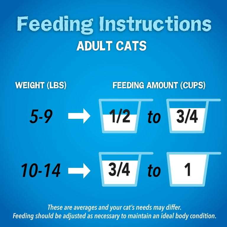 Seafood Dry Cat Food R67428