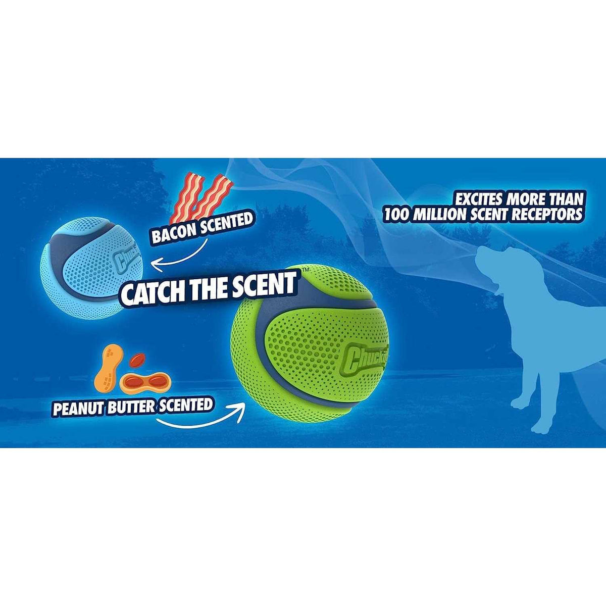 Sniff Fetch Ball Dog Toy U285399