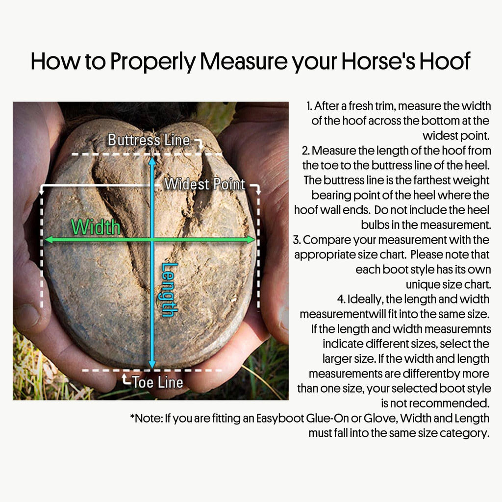 Horse Boot R8435
