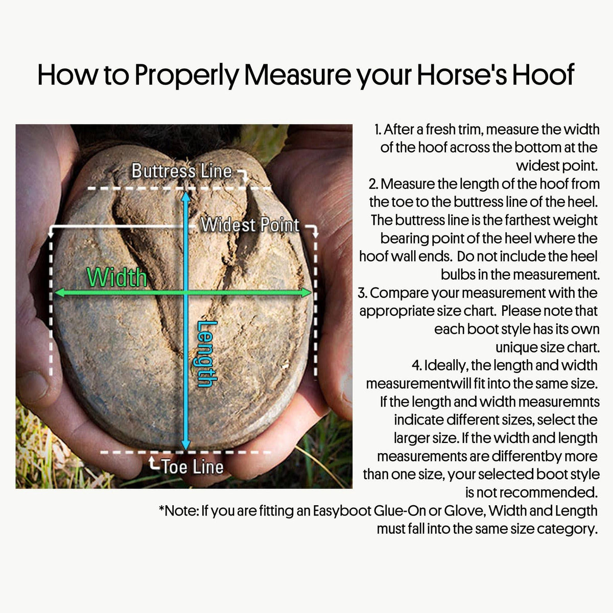 Horse Boot R8435