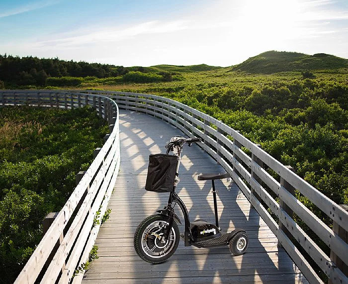 3-Wheel Scooter R360