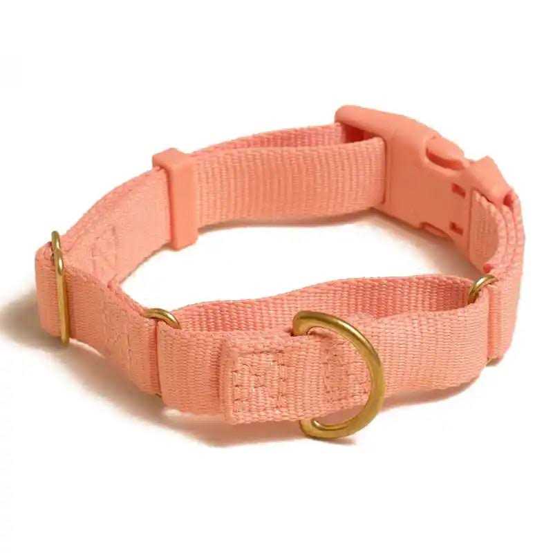 Martingale Dog Collar B598222