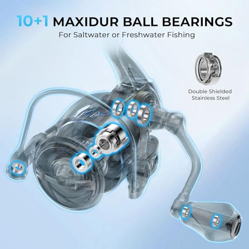 Spinning Fishing Reel with 39.5LBS Max Drag, 6.2:1/5.2:1 Gear Ratio, 10+1 Stainless BB P612