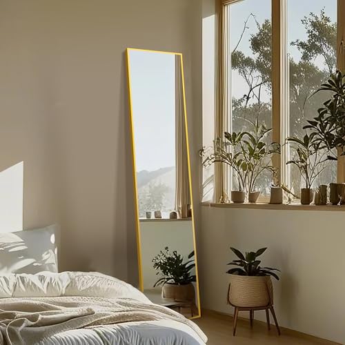 Black Full Length Floor Mirror with Aluminium Frame V1808