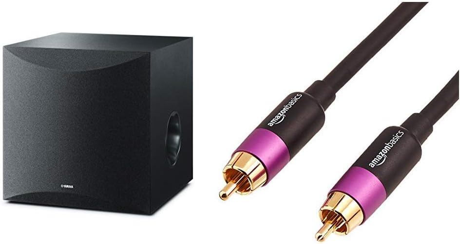 10" 100W Powered Subwoofer Black G73632