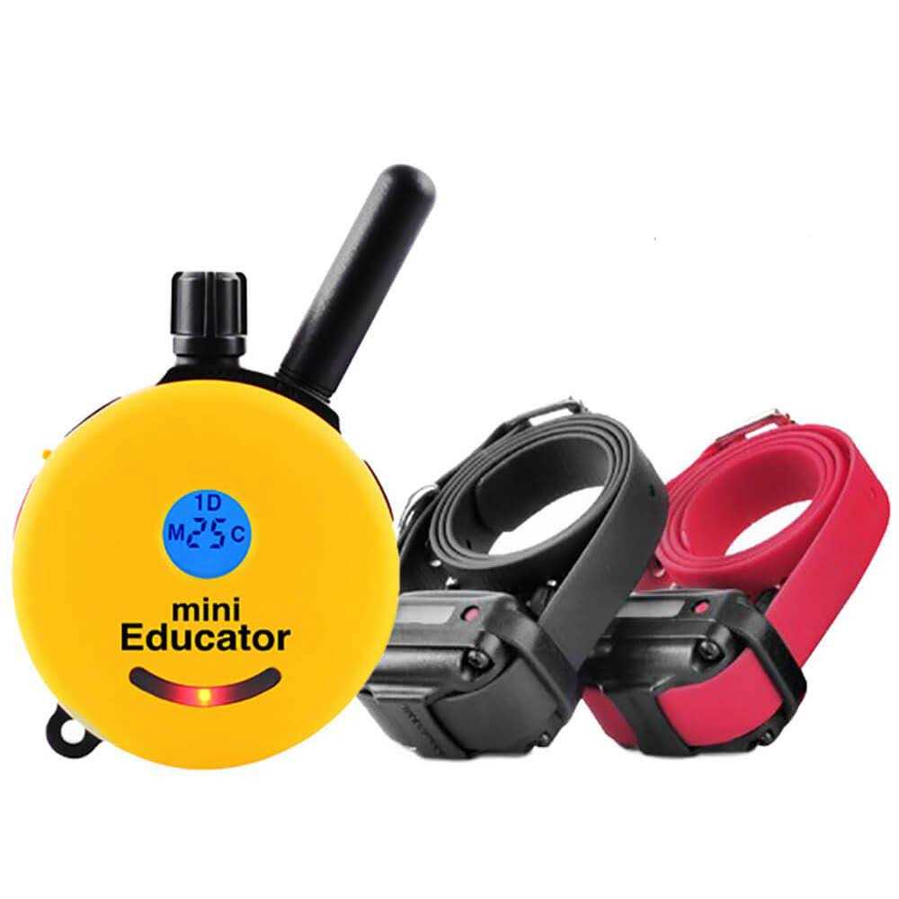 Dog Collar Remote J406853