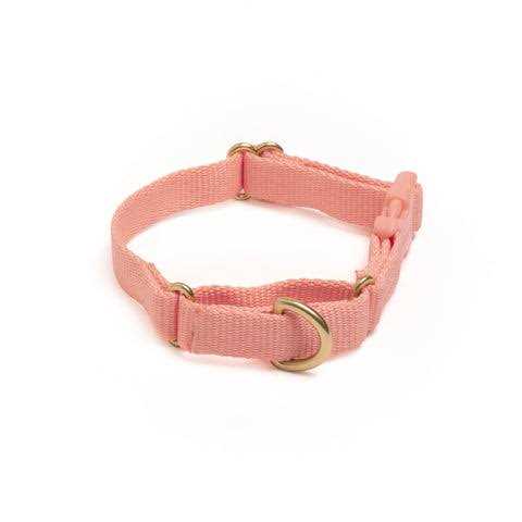 Martingale Dog Collar B598222