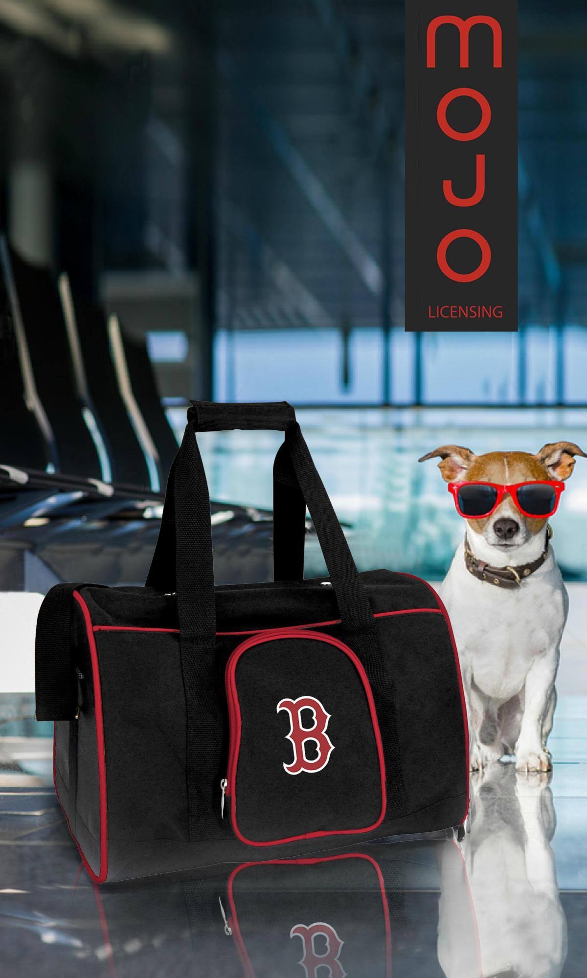 16 in. Pet Carrier D1014