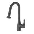 Matte Black Kitchen Faucet Q6904