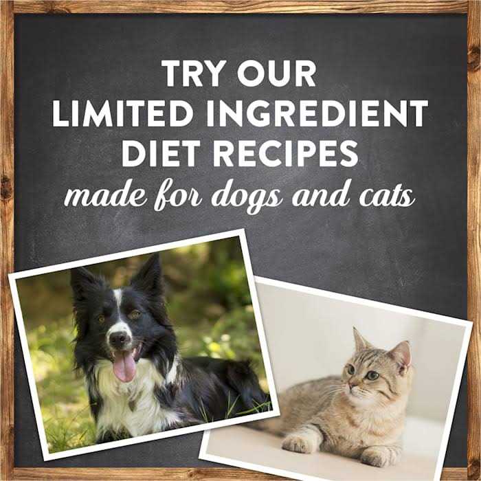 Chicken Recipe Dry Dog Food K336894