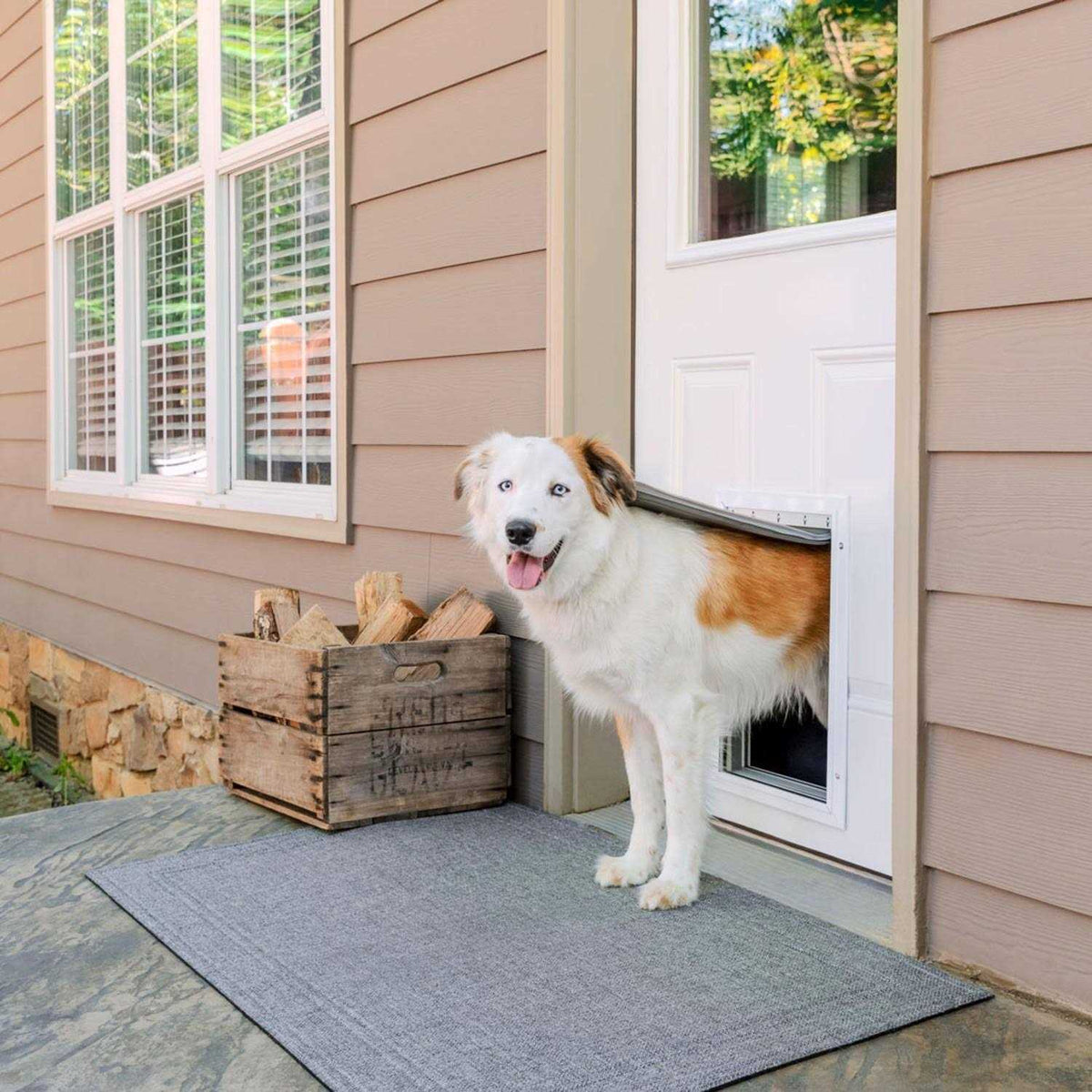Aluminum Pet Door R1437