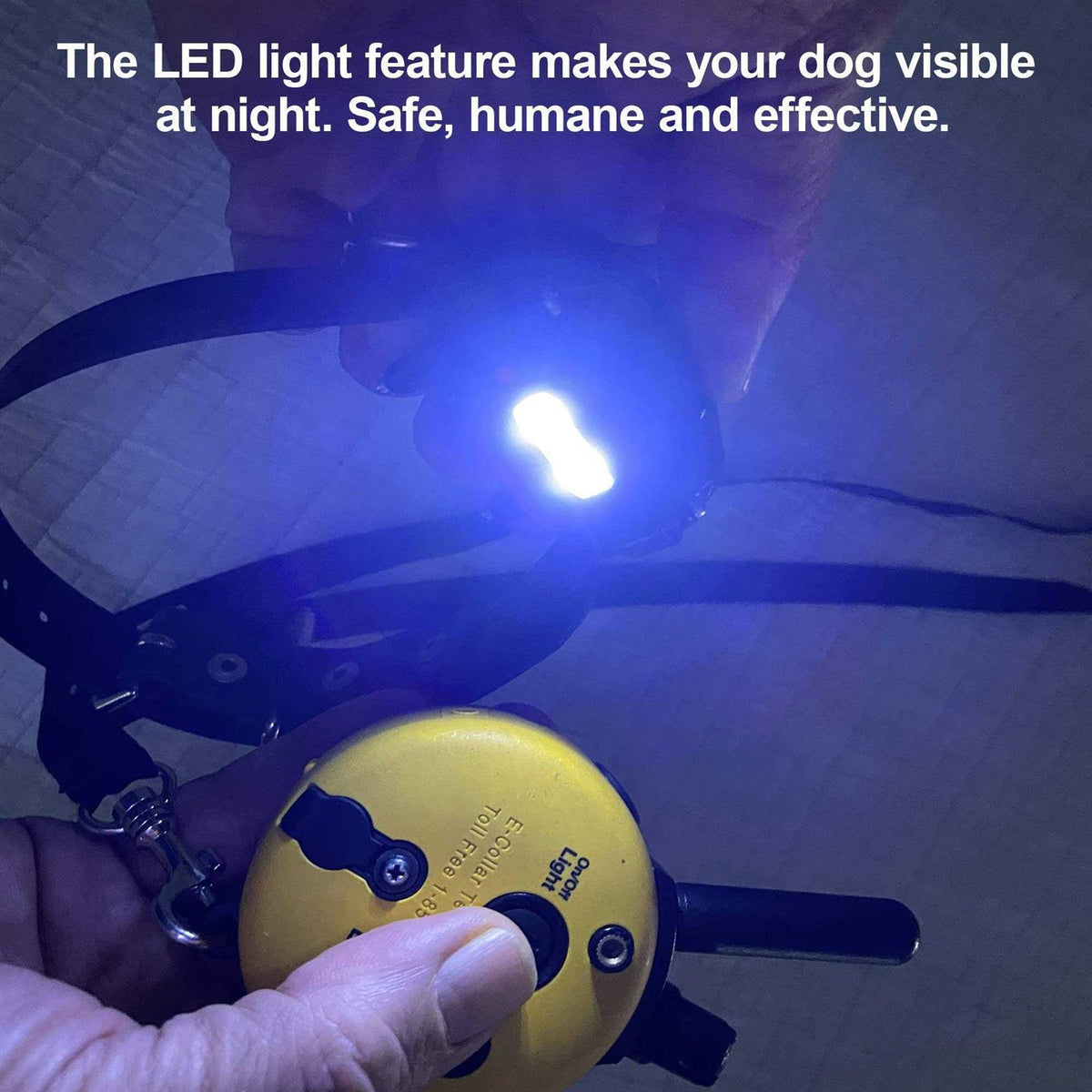 Dog Collar Remote J406853