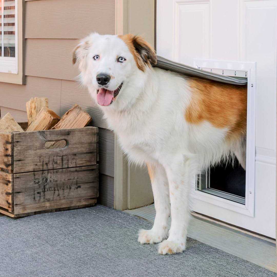 Aluminum Pet Door R1437
