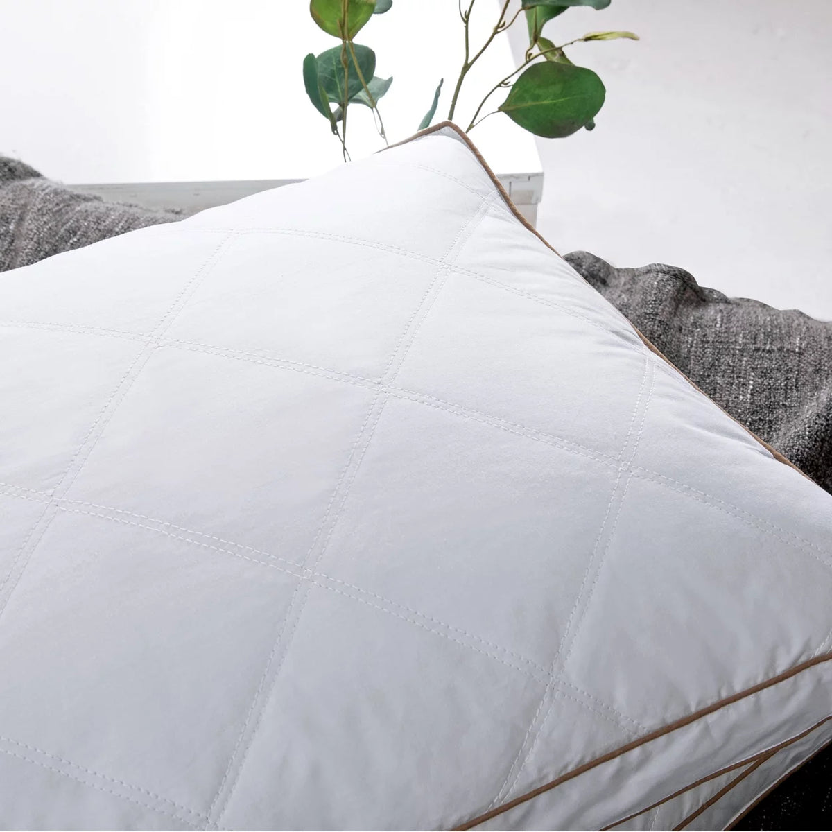 Set of 2 Natural Goose Down Feather Gusseted Pillows Cotton Cover Y273