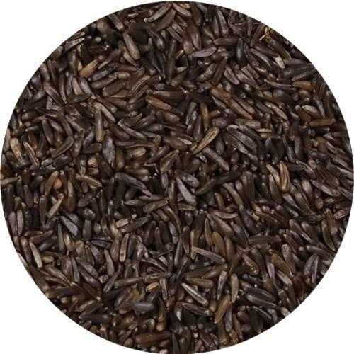 Nyjer Seed Wild Bird Food K510
