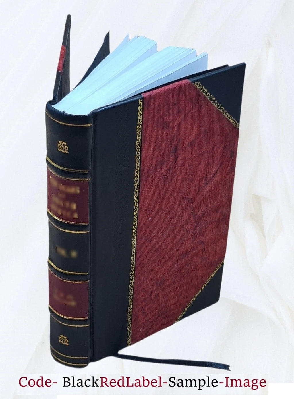 Leather Bound Book A610